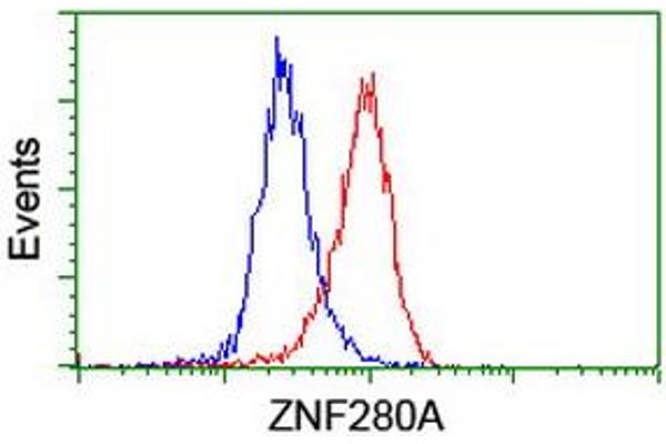 ZNF280A antibody  (AA 1-333)