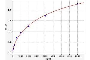 Ceruloplasmin (Ferroxidase) (CP) ELISA Kit