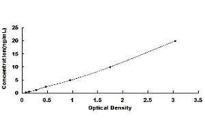 Typical standard curve (Osteocalcin ELISA Kit)