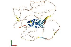 Protein Structure (PS) image for A Kinase (PRKA) Anchor Protein 8-Like (AKAP8L) (AA 1-646) protein (His tag) (ABIN7552016)