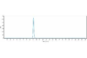 anti-Solute Carrier Family 2 (Facilitated Glucose Transporter) Member 8 (SLC2A8) antibody