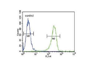 Flow cytometric analysis of A2058 cells (right histogram) compared to a negative control cell (left histogram). (PLAT antibody  (AA 371-399))