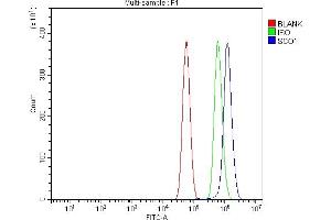 Flow Cytometry analysis of U87 cells using anti-SCO1 antibody (ABIN7600609). (SCO1 antibody  (AA 21-301))
