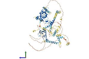 AlphaFold protein structure predicition of Mouse Recombinant Mcm10 Protein, UniprotID Q0VBD2 (MCM10 Protein (AA 1-885) (His tag))