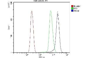 Flow Cytometry analysis of U937 cells using anti-P4HB antibody (ABIN7600075). (P4HB antibody  (AA 146-363))