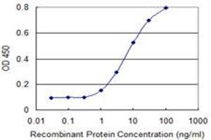 Detection limit for recombinant GST tagged KCNA1 is 0. (KCNA1 antibody  (AA 410-495))