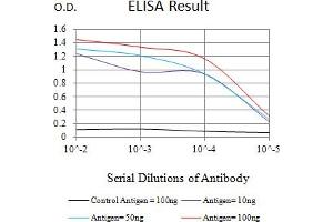 Black line: Control Antigen (100 ng),Purple line: Antigen (10 ng), Blue line: Antigen (50 ng), Red line:Antigen (100 ng) (MLH1 antibody  (AA 381-483))