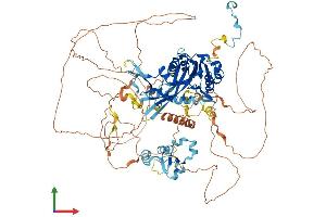 AlphaFold protein structure predicition of Mouse Recombinant Lpin2 Protein, UniprotID Q99PI5