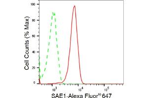 Flow cytometric analysis of SAE1 expression in Hela cells using SAE1 antibody (ABIN7800458), 1:2,000).