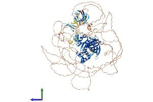 AlphaFold protein structure predicition of Human Recombinant FRMPD4 Protein, UniprotID Q14CM0