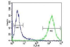 PRMT4 antibody flow cytometric analysis of Jurkat cells (green) compared to a negative control (blue). (CARM1 antibody  (AA 346-377))