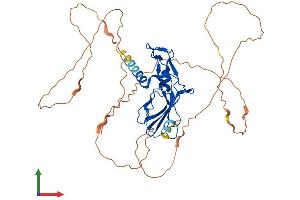 AlphaFold protein structure predicition of Mouse Recombinant Gcm1 Protein, UniprotID P70348 (GCM1 Protein (AA 1-436) (His tag))