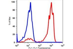 Image no. 2 for anti-Fc gamma RII (CD32) antibody (FITC) (ABIN2704248) (Fc gamma RII (CD32) antibody (FITC))