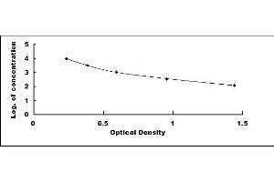 Cross Linked C-Telopeptide of Type III Collagen (CTX-III) ELISA Kit