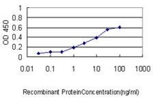 Detection limit for recombinant GST tagged EDG1 is approximately 0. (S1PR1 antibody  (AA 1-47))