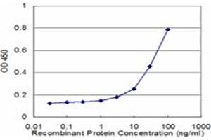 Detection limit for recombinant GST tagged BMPR1B is approximately 3ng/ml as a capture antibody. (BMPR1B antibody  (AA 24-127))