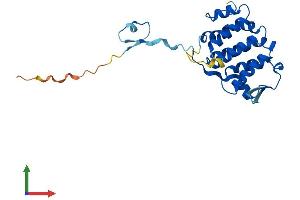 AlphaFold protein structure predicition of Mouse Recombinant Pacrg Protein, UniprotID Q9DAK2 (PACRG Protein (AA 1-241) (His tag))