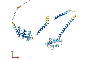 Protein Structure (PS) image for Nuclear Factor of kappa Light Polypeptide Gene Enhancer in B-Cells Inhibitor-Like 1 (NFKBIL1) (AA 1-381) protein (His tag) (ABIN7562701)