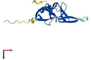 Rieske (Fe-S) Domain Containing (RFESD) (AA 1-157) protein (His tag)