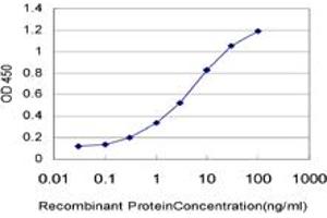 Detection limit for recombinant GST tagged RCV1 is approximately 0. (Recoverin antibody  (AA 101-199))