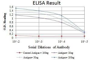 Red: Control Antigen (100 ng), Purple: Antigen (10 ng), Green: Antigen (50 ng), Blue: Antigen (100 ng),