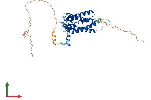 AlphaFold protein structure predicition of Human Recombinant YIPF1 Protein, UniprotID Q9Y548