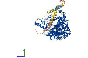 AlphaFold protein structure predicition of Human Recombinant GALNT18 Protein, UniprotID Q6P9A2 (UDP-N-Acetyl-alpha-D-Galactosamine:polypeptide N-Acetylgalactosaminyltransferase 18 (GALNT18) (AA 1-607) protein (His tag))