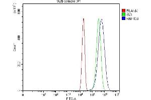 Flow Cytometry analysis of U20S cells using anti-HSD-4/RNF138 antibody (ABIN7600632). (RNF138 antibody  (AA 210-245))
