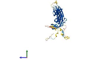 AlphaFold protein structure predicition of Human Recombinant ARRDC4 Protein, UniprotID Q8NCT1