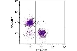 BALB/c mouse splenocytes were stained with Rat Anti-Mouse CD40-APC. (CD40 antibody  (APC))