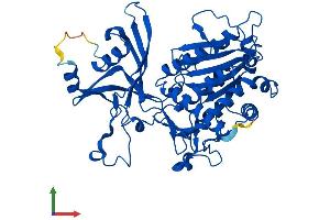 AlphaFold protein structure predicition of Mouse Recombinant Dnpep Protein, UniprotID Q9Z2W0 (Aspartyl Aminopeptidase Protein (DNPEP) (AA 1-473) (His tag))