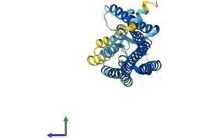 AlphaFold protein structure predicition of Human Recombinant OR7A17 Protein, UniprotID O14581