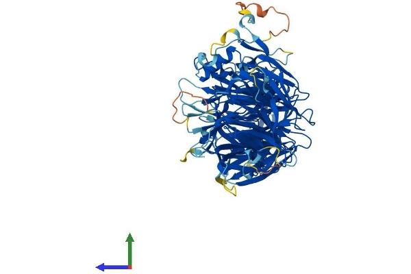 ELP2 Protein (AA 1-826) (His tag)