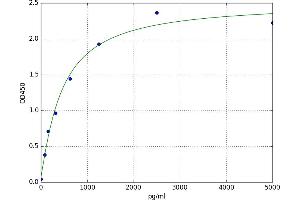 A typical standard curve