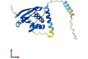 Protein Structure (PS) image for serine Hydrolase-Like (SERHL) (AA 1-203) protein (His tag) (ABIN7546114)