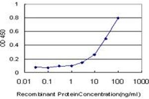 Detection limit for recombinant GST tagged TIMP1 is approximately 3ng/ml as a capture antibody. (TIMP1 antibody  (AA 1-169))