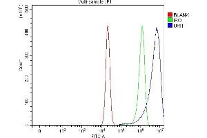 Flow Cytometry analysis of RT4 cells using anti-C19orf2/URI1 antibody (ABIN7602611). (URI1 antibody  (AA 89-532))