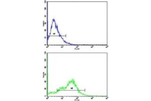 Flow Cytometry (FACS) image for anti-CD38 (AA 241-270) antibody (ABIN3028550)