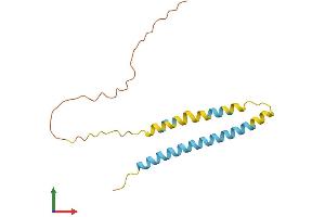 Protein Structure (PS) image for Interferon Induced Transmembrane Protein 2 (IFITM2) (AA 1-144) protein (His tag) (ABIN7560304)