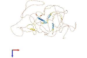BCL2-Associated Transcription Factor 1 (BCLAF1) (AA 1-920) protein (His tag)