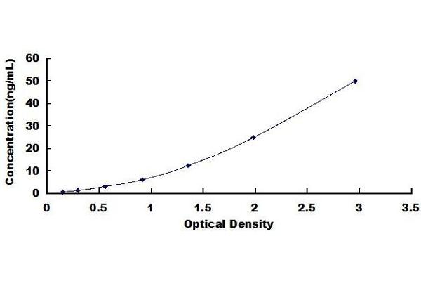 CYP2B6 ELISA Kit