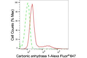 Flow cytometric analysis of Carbonic anhydrase 1 expression in H9c2 cells using Carbonic anhydrase 1 antibody (ABIN7797867), 1:2,000). (Recombinant CA1 antibody)