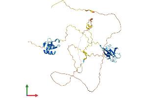 Protein Structure (PS) image for Doublecortin Domain Containing 2 (DCDC2) (AA 1-476) protein (His tag) (ABIN7547010)