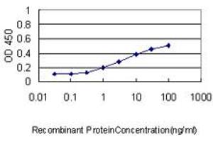 Detection limit for recombinant GST tagged ATP7B is approximately 0. (ATP7B antibody  (AA 1372-1465))