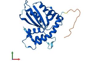 AlphaFold protein structure predicition of Human Recombinant APOBEC3H Protein, UniprotID Q6NTF7 (APOBEC3H Protein (AA 1-200) (His tag))