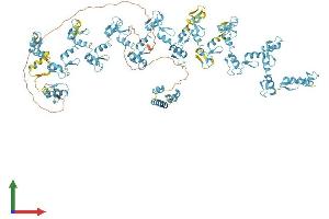 AlphaFold protein structure predicition of Human Recombinant ZNF850 Protein, UniprotID A8MQ14 (ZNF850 Protein (AA 1-1090) (His tag))