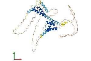 Protein Structure (PS) image for Meis Homeobox 3 (MEIS3) (AA 1-378) protein (His tag) (ABIN7556794)