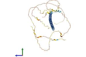 AlphaFold protein structure predicition of Mouse Recombinant Fosb Protein, UniprotID P13346 (FOSB Protein (AA 1-338) (His tag))