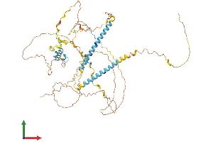 AlphaFold protein structure predicition of Human Recombinant FIP1L1 Protein, UniprotID Q6UN15