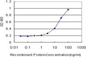 Detection limit for recombinant GST tagged HPSE is approximately 0. (HPSE antibody  (AA 72-170))